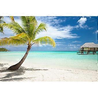 Palm Tree Wooden Jigsaw Puzzles Huts on Tropical Beach Photo Photograph Sunset Landscape Pictures Ocean Scenic Scenery UE2875