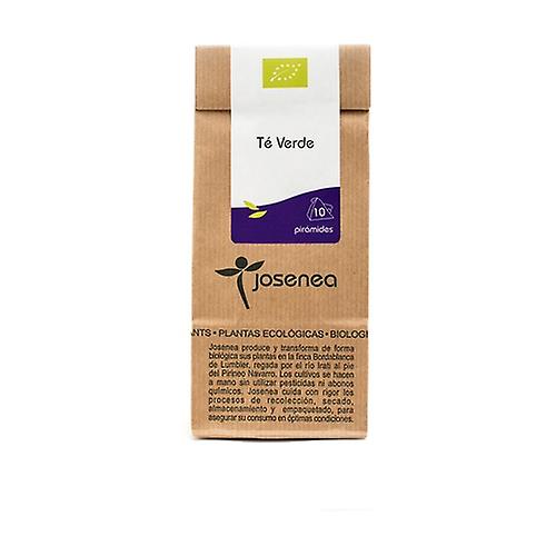 Organic green tea 10 infusion bags