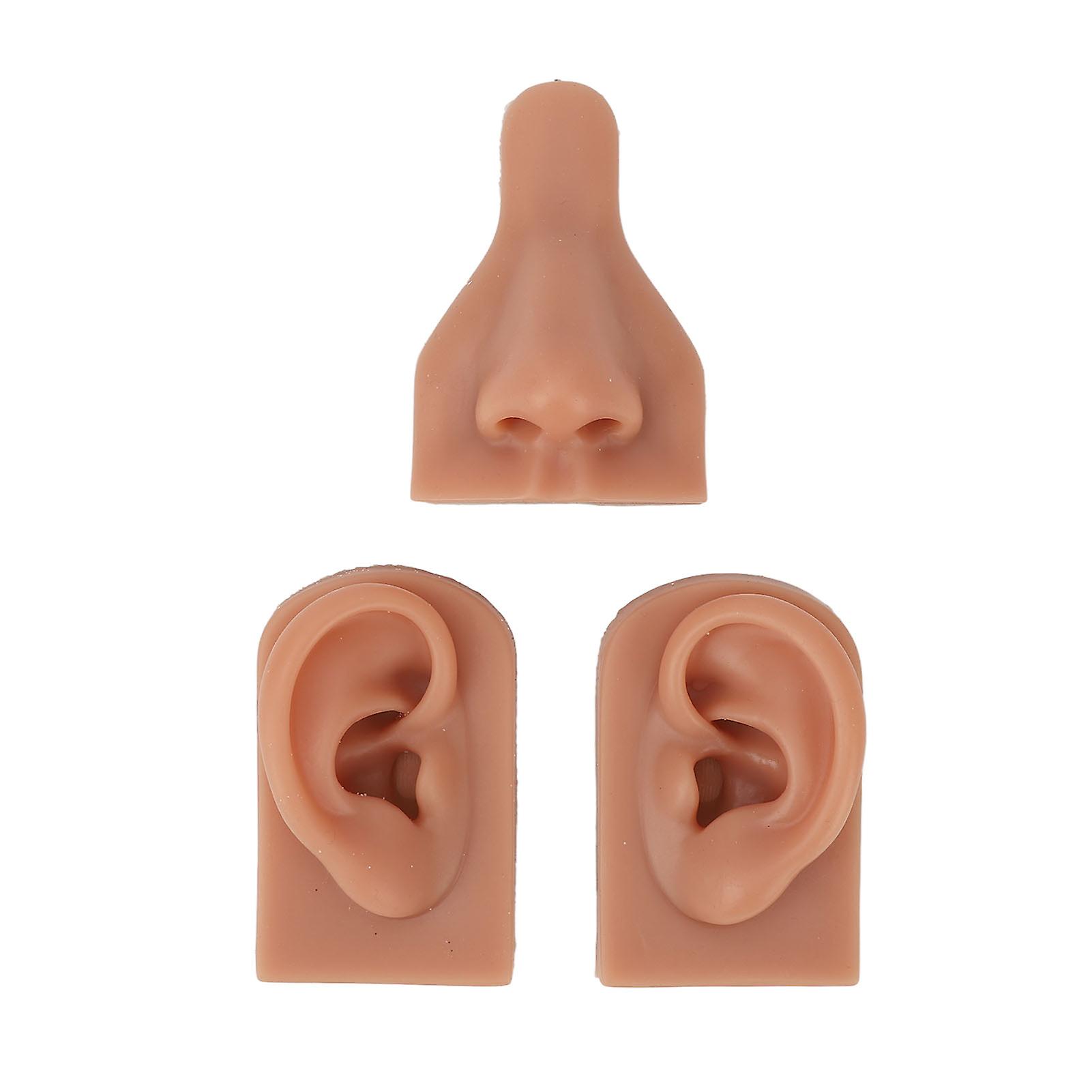 Silicone Nose Ear Model 3D Simulation Nose Ear Model Set for Piercing Practice Teaching