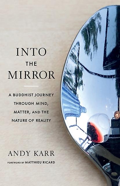 Into The Mirror by Matthieu Ricard Paperback