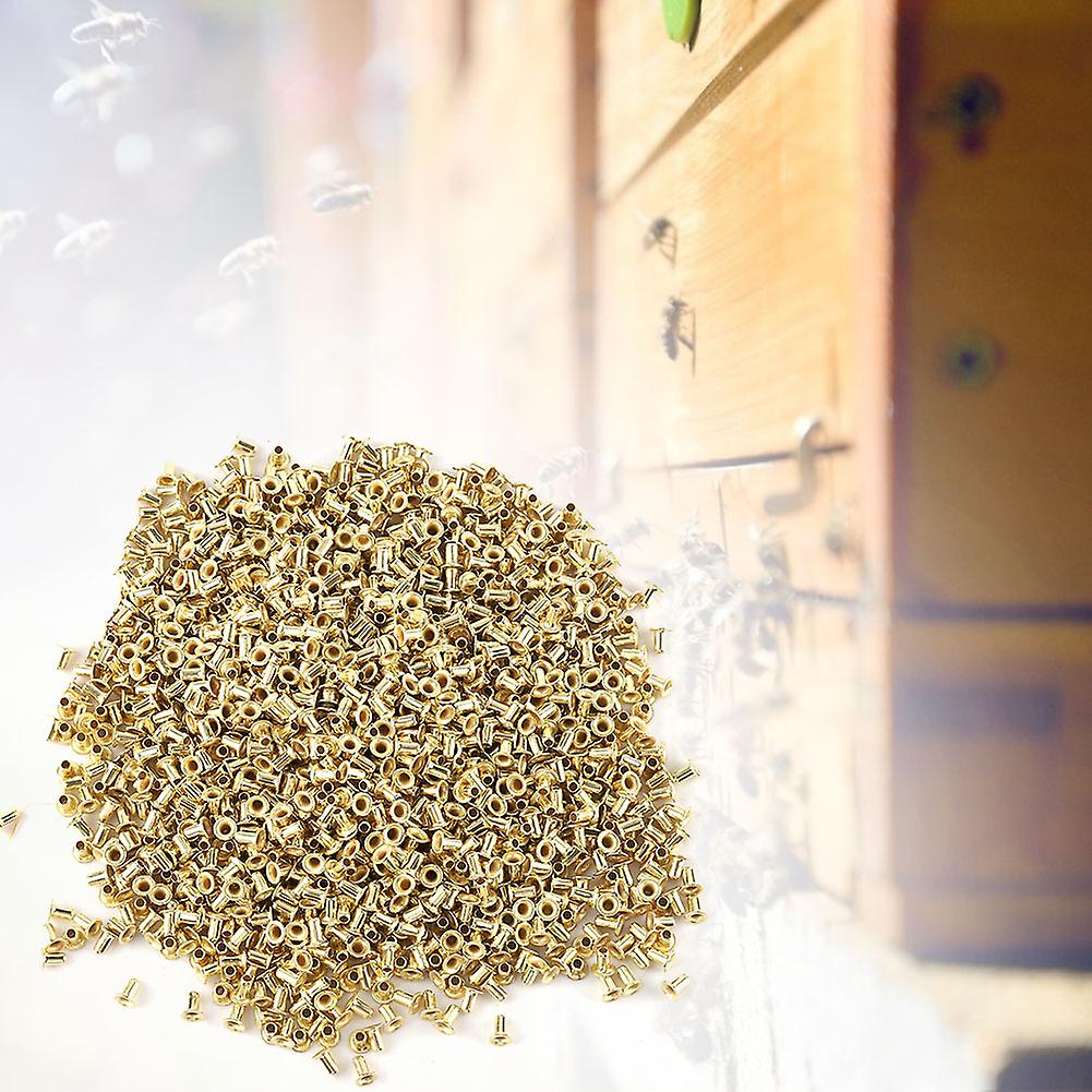 Bee Hive Beehive Brass Nest Frame Eyelets Beekeepers Beekeeping Tools (1000 Pcs)