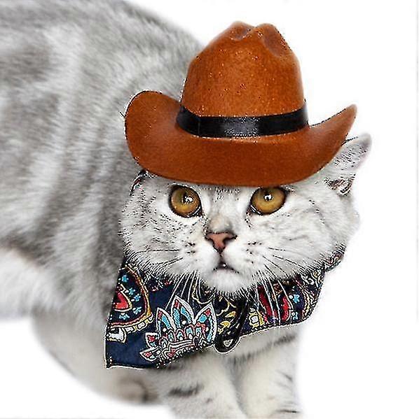 Adorable Dog Hat Cat   Hat Clothes Cat Costumes