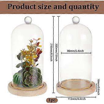 1 Pc Glass Display Dome Cloche 4.45x8.27 Inch Cloche Bell Jar Terrarium  with Cork Base Decorative Display Dome Case for Plants Flower Christmas  Displa | Fruugo US