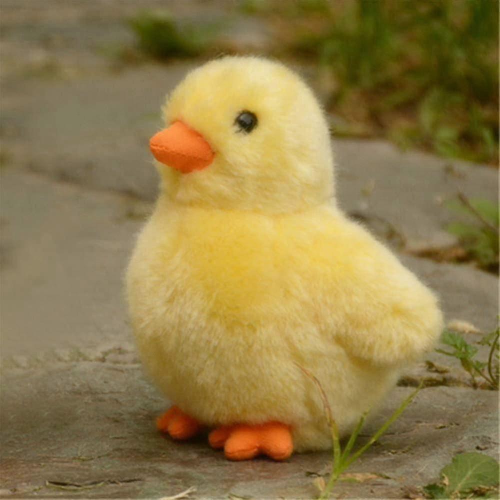 محشي 5 بوصة، 12 سم، لعبة أفخم (كتكوت أصفر) WTI