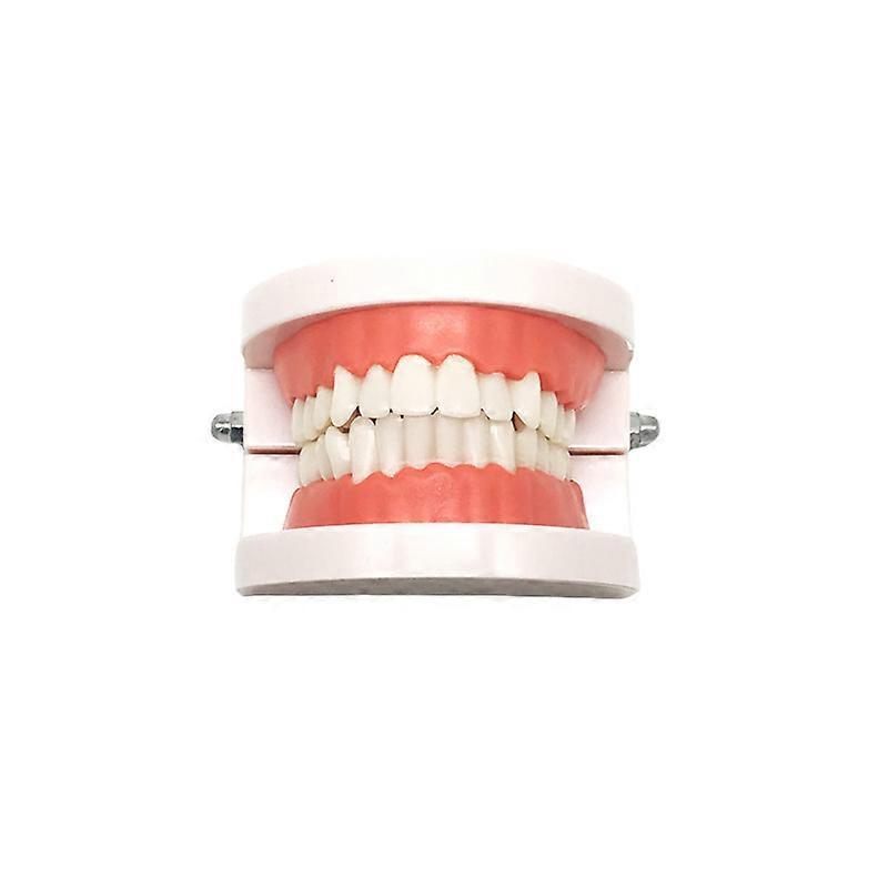 Model stomatologic standard pentru îngrijirea dentară, instrucțiuni de periaj