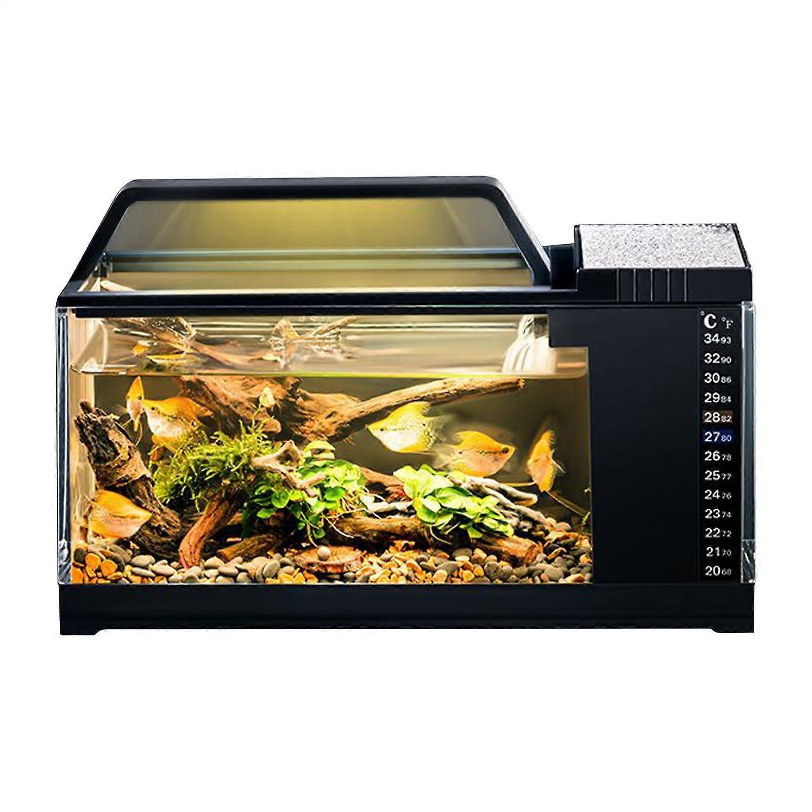 Fish Tank Kit 29 x 13 x 13 cm with Compact Filtration System and Quiet Pump, Modern Black Aquarium for Small Fish and Desktop Use