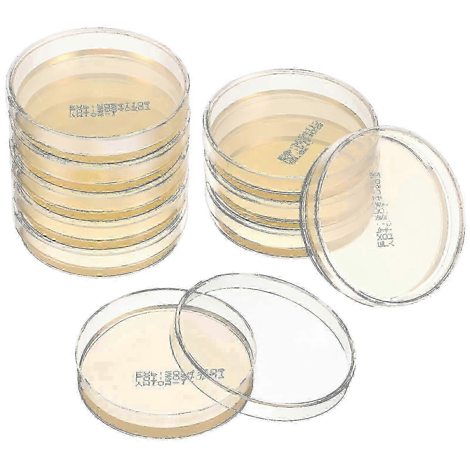 10pcs Pré-coulé Agar place plaque Boîtes de Pétri avec fournitures d’expérience scientifique