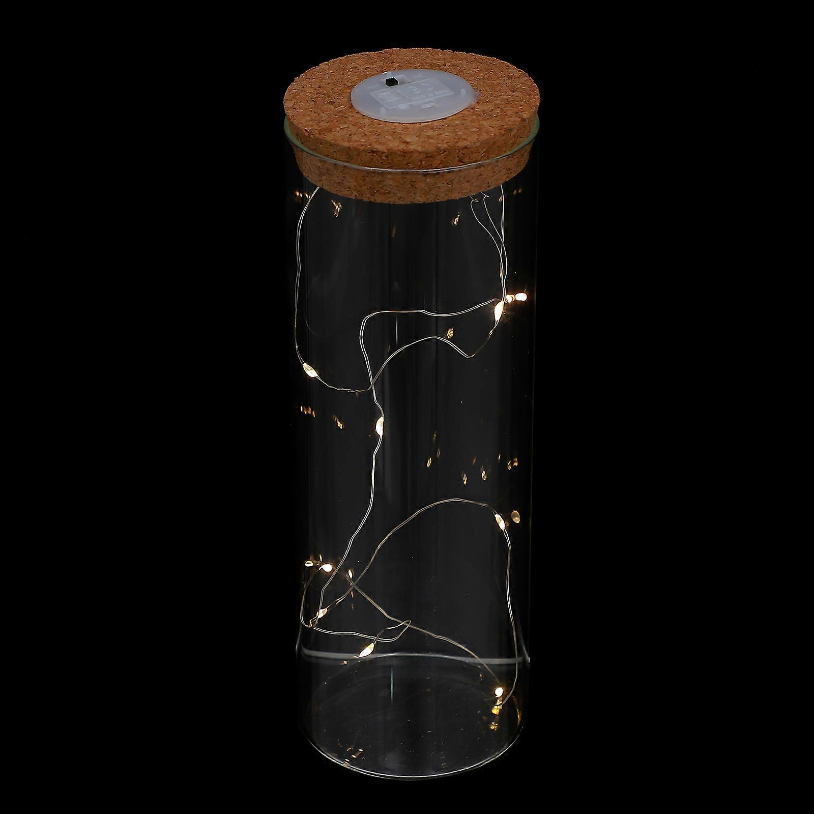 Preserved Flower Glass Bottles with Light for Storage Use Transparent Wood