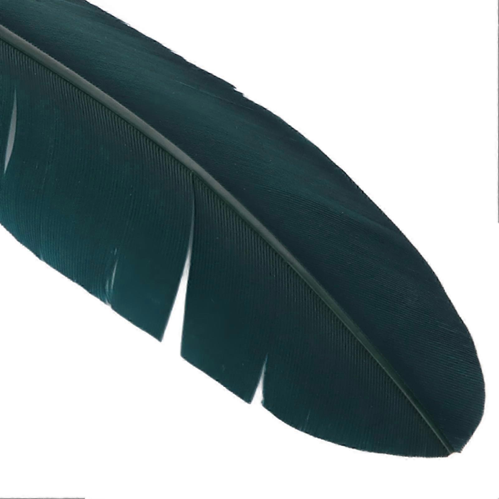 Feather Pen and Ink Set with 5 Interchangeable Nibs for Student Retro Style Writing Smoothly Feather Quill Pen for School