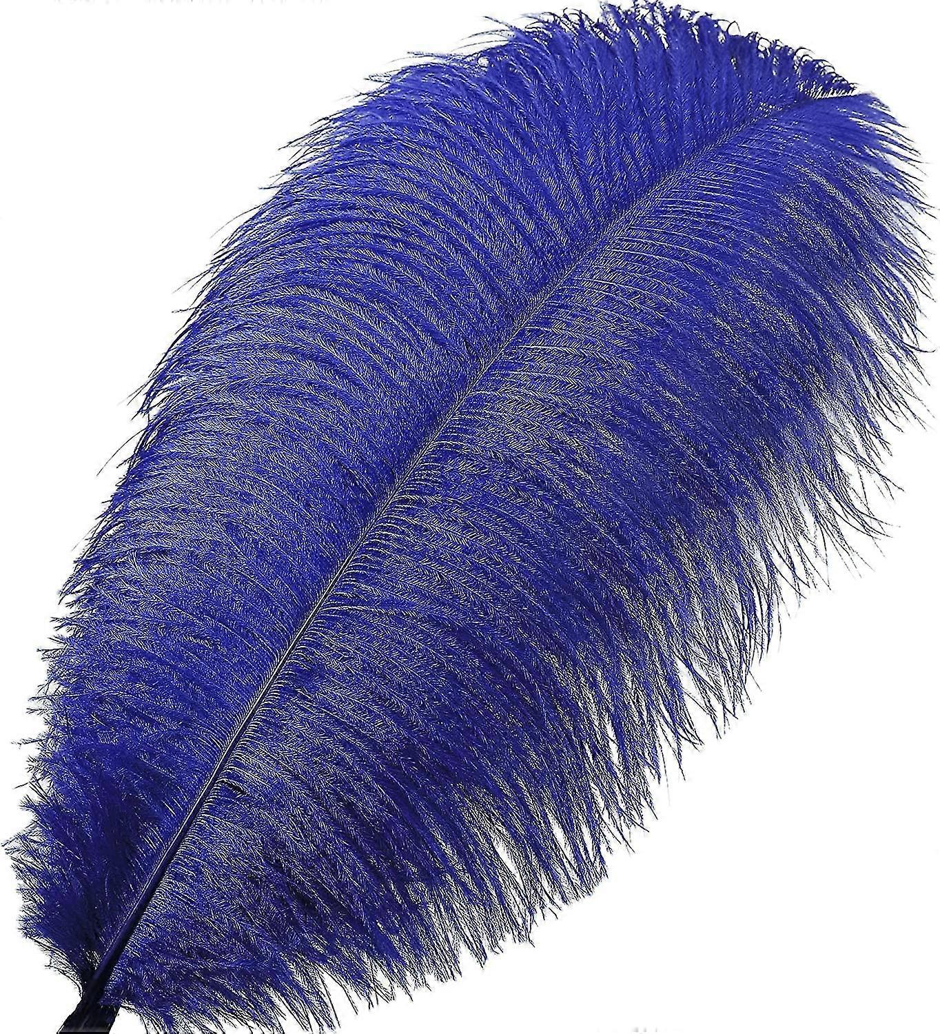 50pcs Ostrich Feathers For Decorations 26s