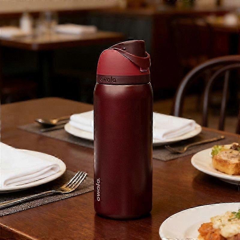 Owala 24/32oz Insulated Stainless Steel Water Bottle - Black