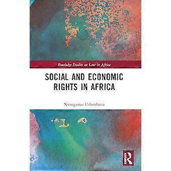 Social and Economic Rights in Africa International and Public Law Perspectives