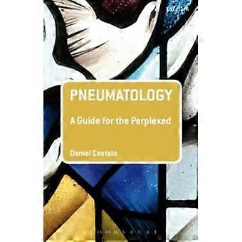 Pneumatology A Guide For The Perplexed - Daniel Castelo - Paperback - en Book