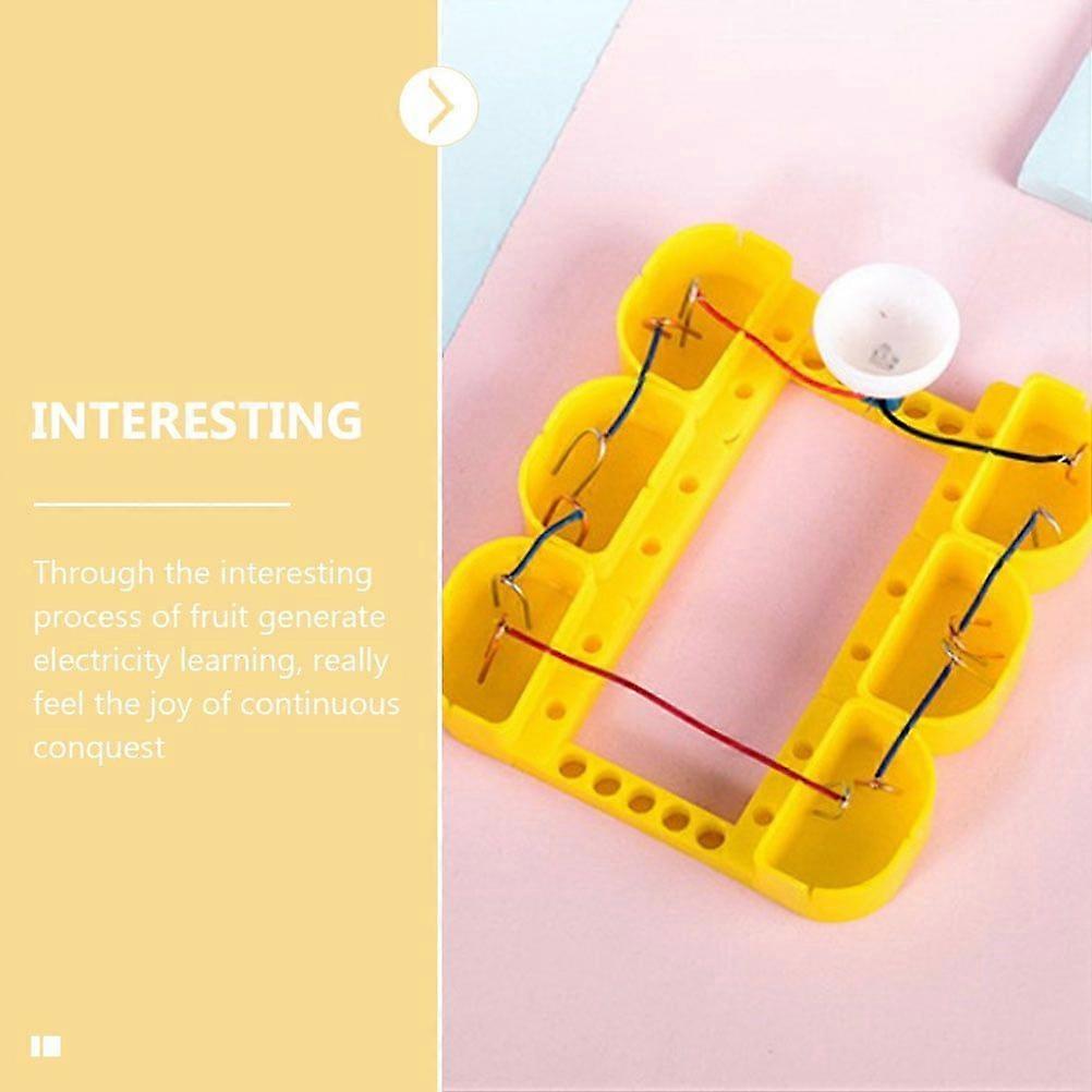 1 Set Fruit Experiment Toy Physics Teaching Experiment Educational Toy for Students