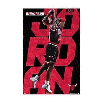 MICHAEL JORDAN - PINSTRIPE Wooden Jigsaw Puzzles UE1344