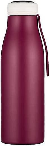 17oz 500ml Reusable Stainless Steel Tall Water Bottle Flask