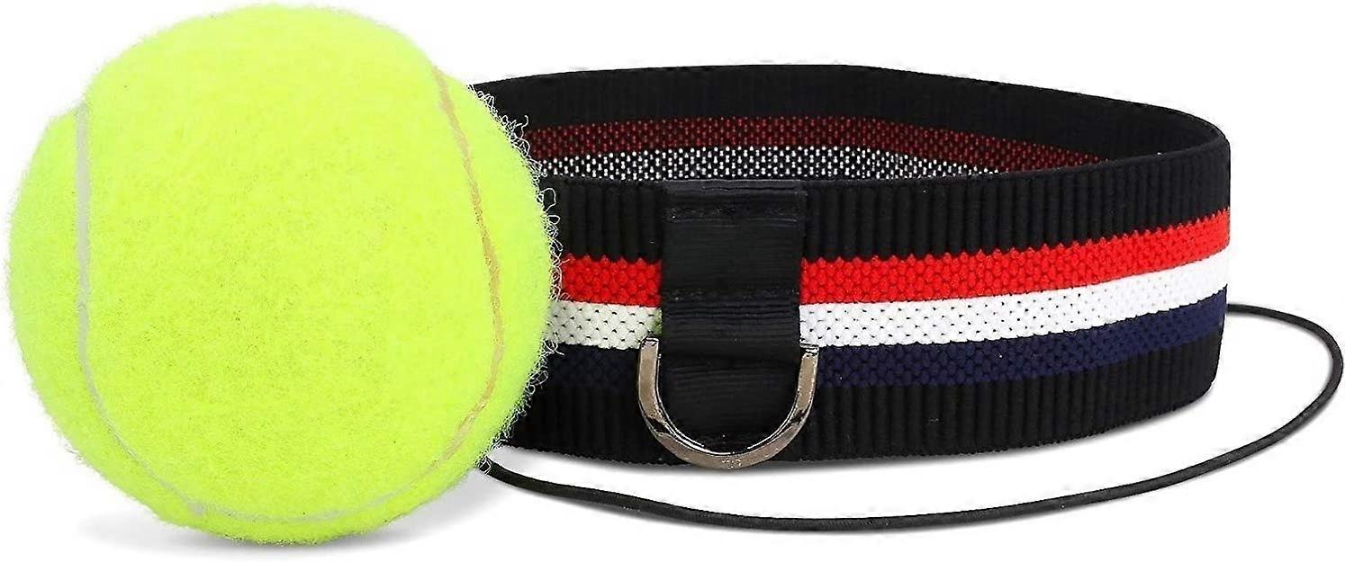 Professional fight ball reflex to increase performance in boxing training