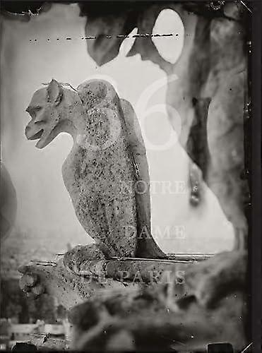 Tomas Van Houtryve 36 Views Of Notre Dame Paperback Book