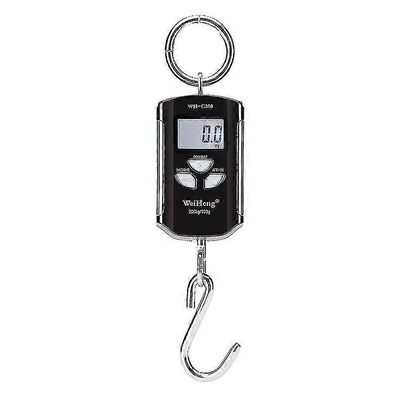 Portable Electronic Crane Scale Precise Range 200 Kg / 100 G, Silver Frame