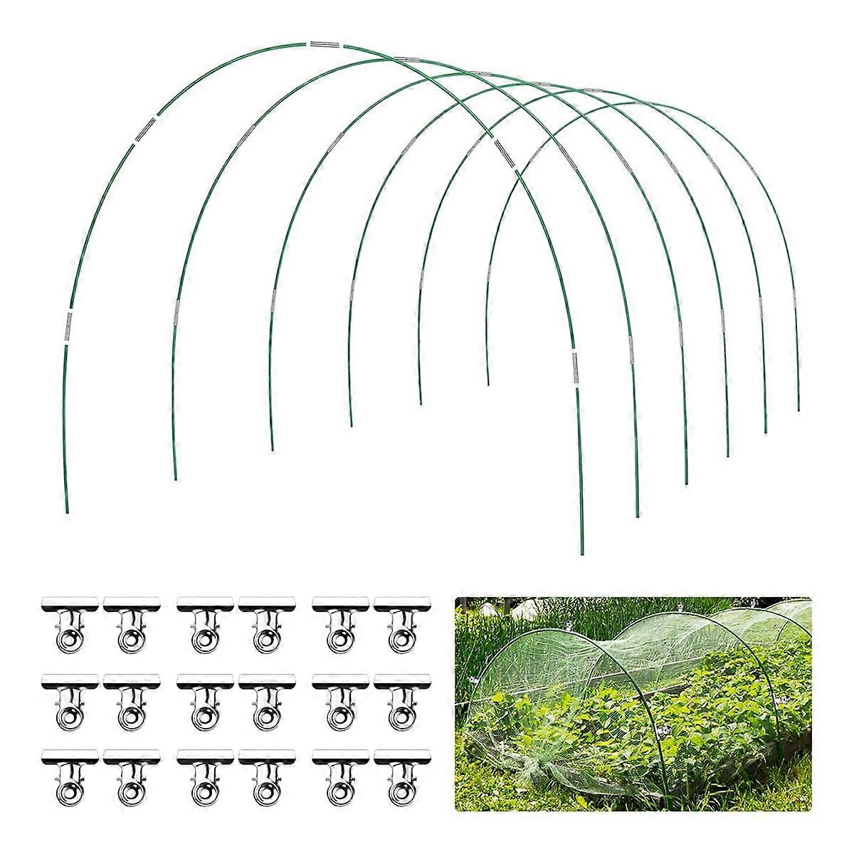 Green Summer Hoops