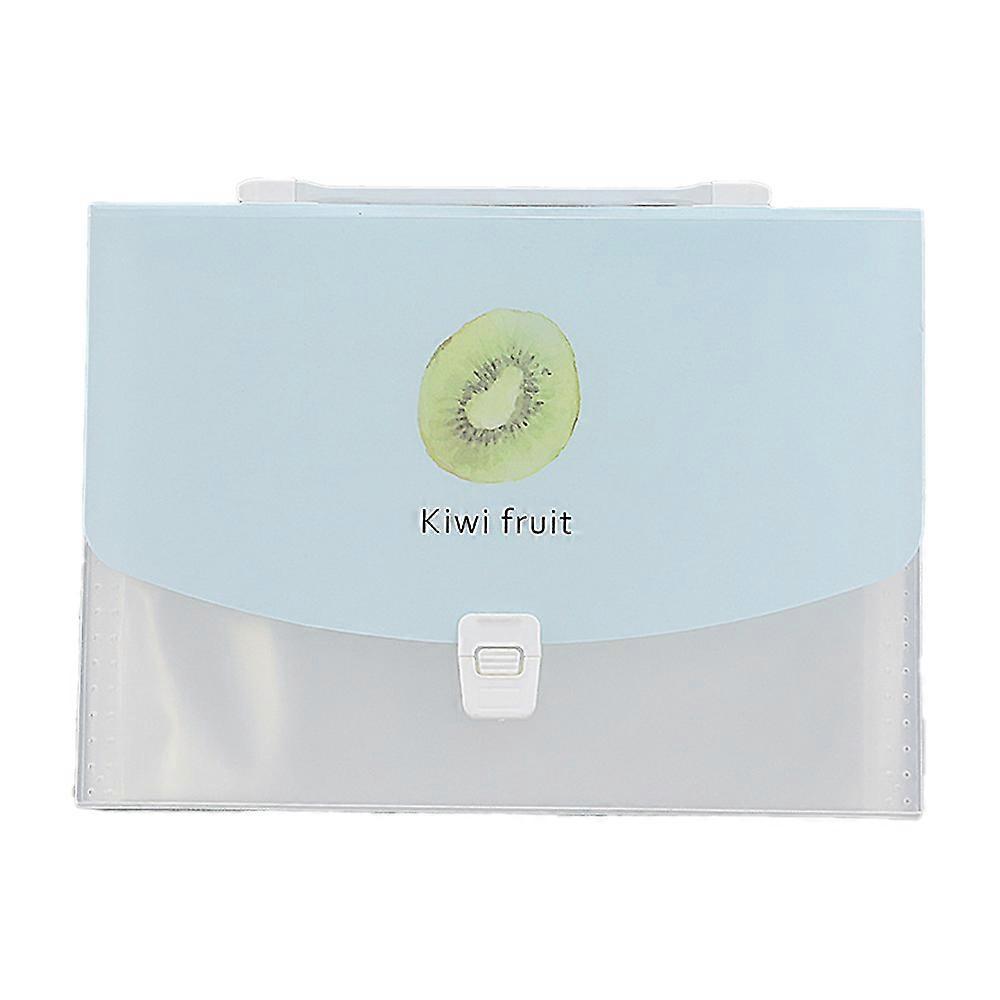 File Organizer, A4 Folder, PP Material, Portable Document Organizer