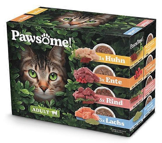 Pawsome Multipack sachets 12x85g