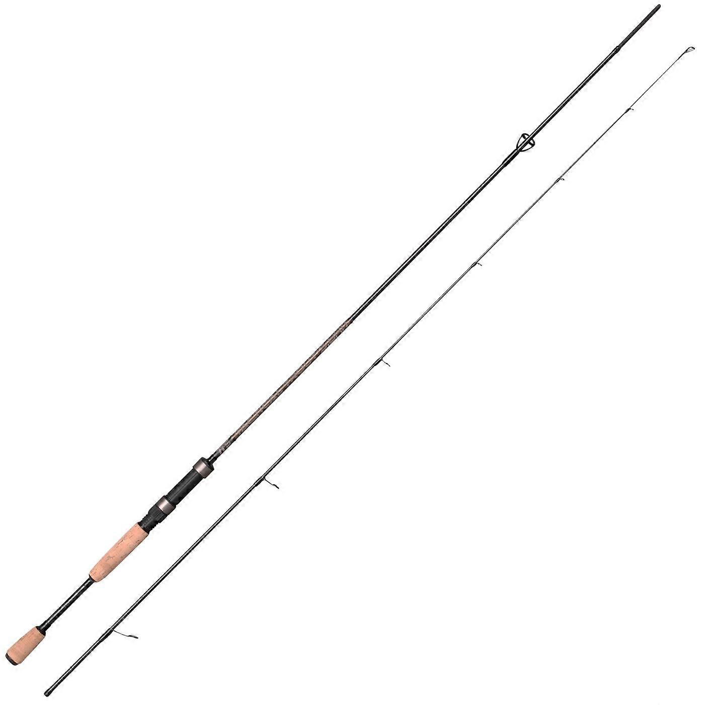 Fishing Rod for Jigging and Spin Fishing for Trout Tactical Trout Softbait 2.40 m 315 g