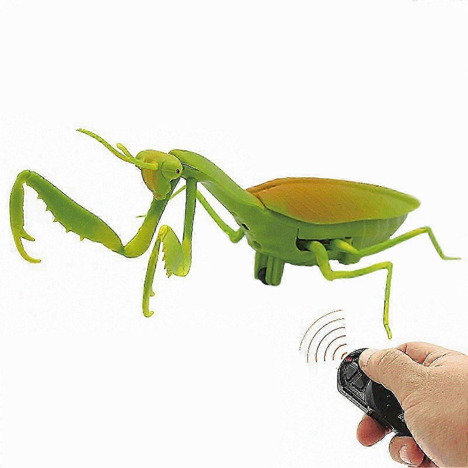 Remote Control Prank Insects: Cockroach, Mantis, Bee for Kids hwy