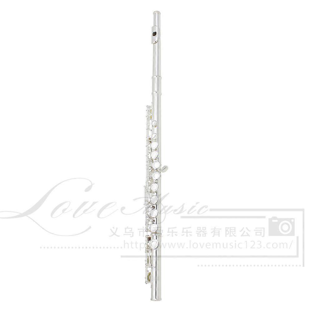 C Flute for Beginner Kids: Professional Musical Instrument for School Band Portable Closed Hole Flute Instrument for Beginner