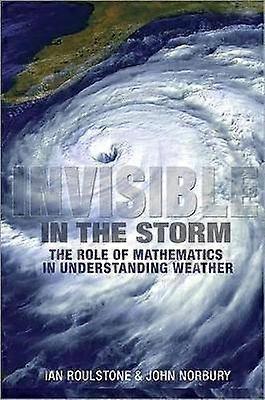 Invisible in the Storm - The Role of Mathematics in Understanding Weather