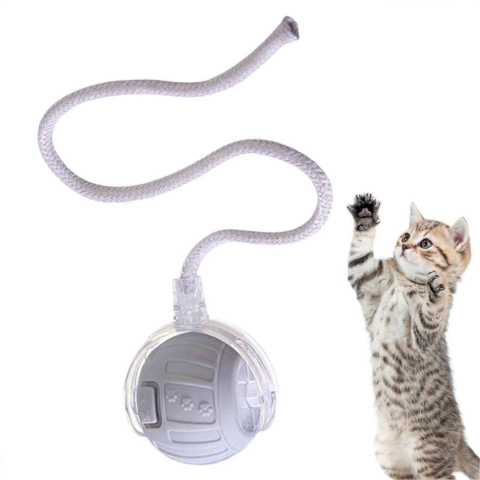 Interactive Cat Toy Ball with Tail Rope, Automatic Smart Electric Ball, Quiet Play for Kittens