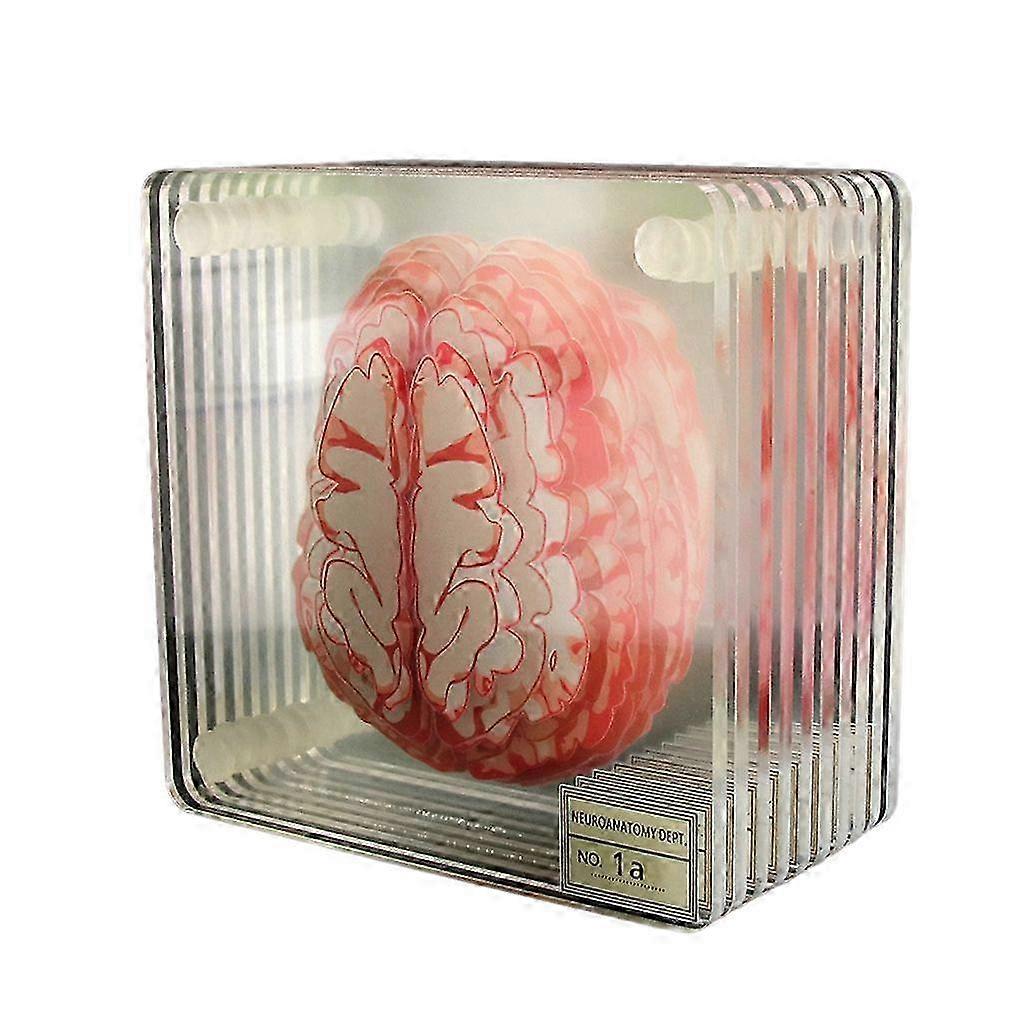 Square Acrylic Brain Coasters Pack