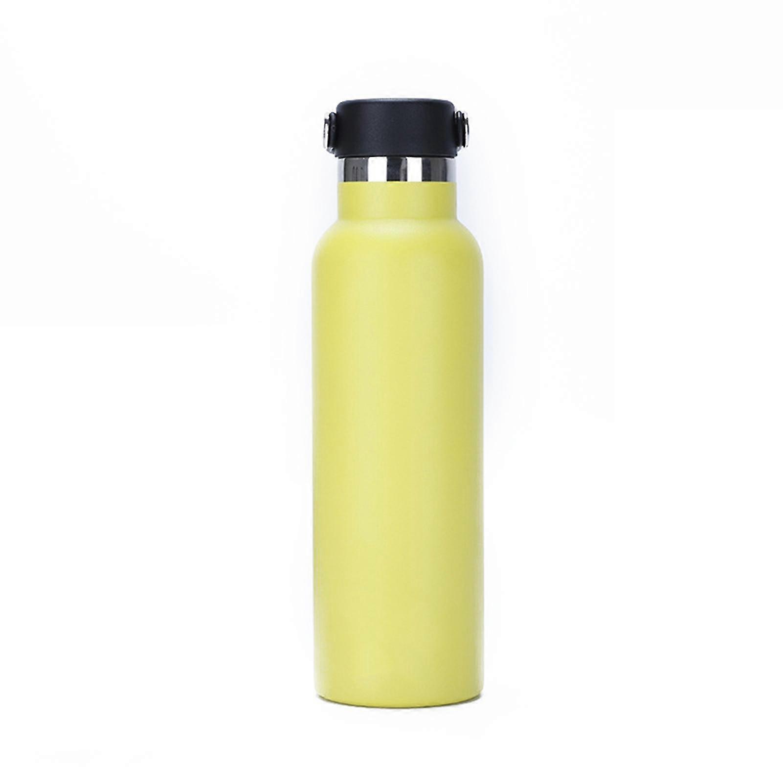 Bouteille d’eau en acier inoxydable double couche avec poignées réutilisables isolées sous vide