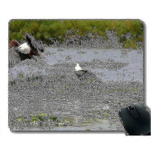 ( X180x3) Mouse Pads Customized,skying Eagles Office Mouse Pad