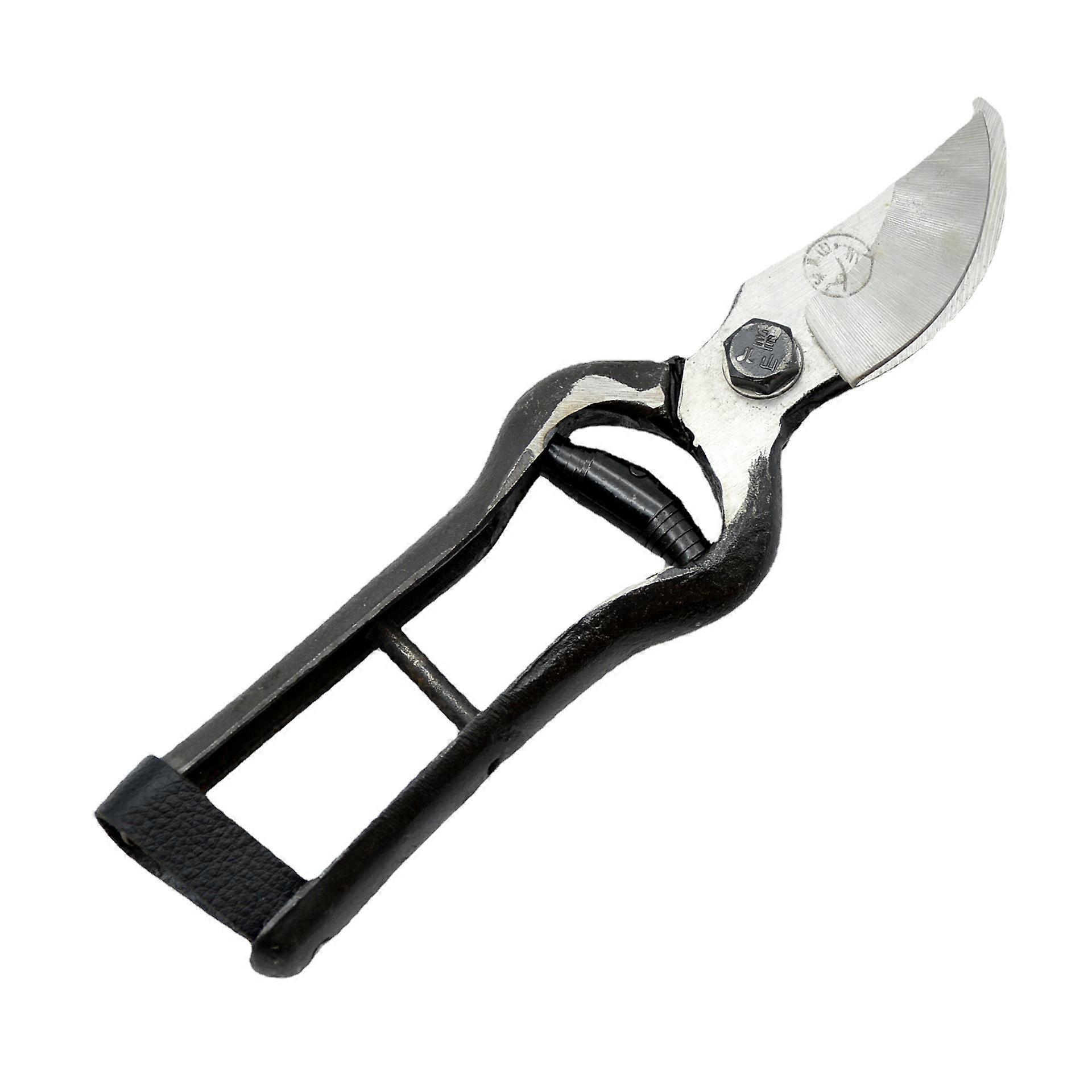 Professional scissors for pruning trees