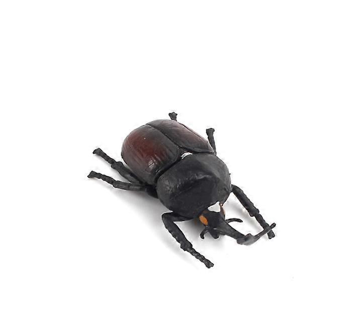 Simulation limb insect animal model,cobra mantis beetle sand table decoration