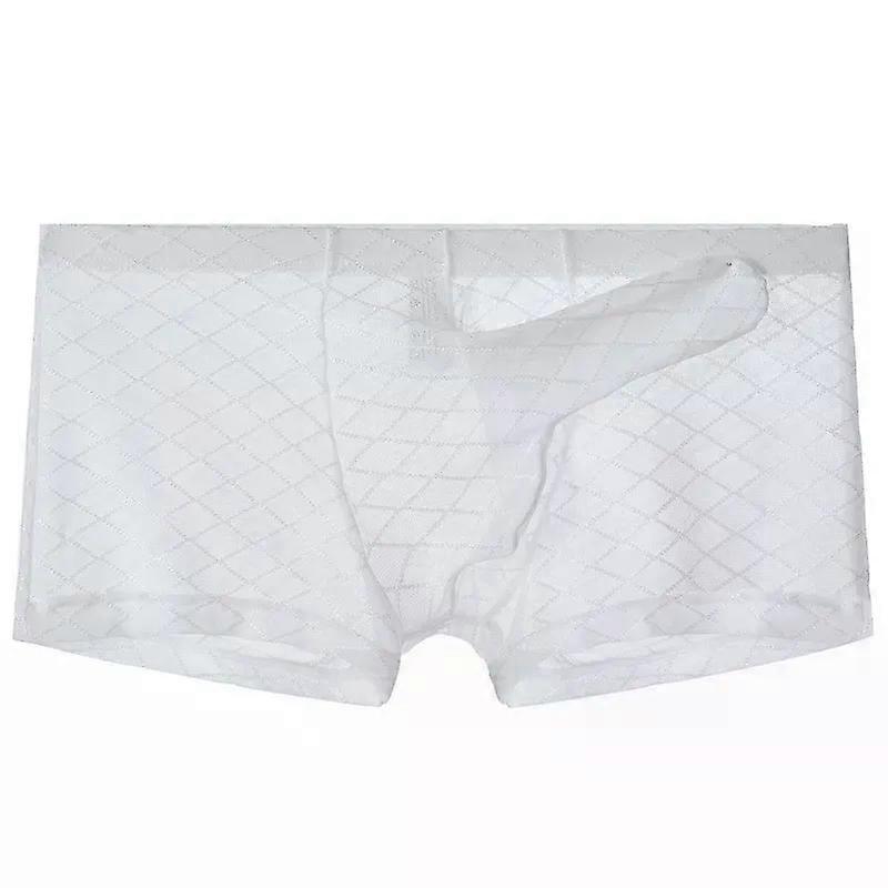 Erotic Men's Boxy Underwear Lingge Mesh Transparent Elephant Nose Trunk Ultra-Thin See Through Boxer Shorts Gays Sexy Underpants