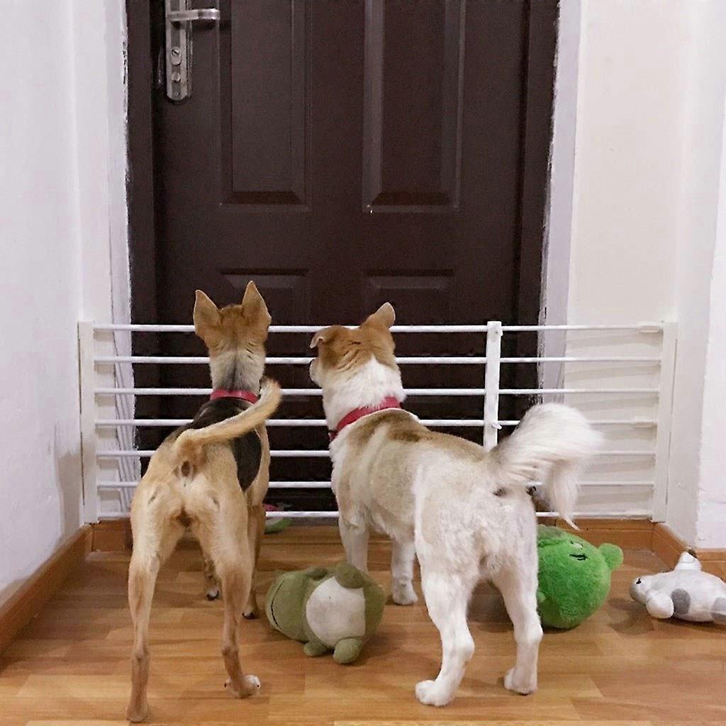 Playpen for pets, safety gate, dog fence door, safety gate for home, pet insulation gate Ref: 9785