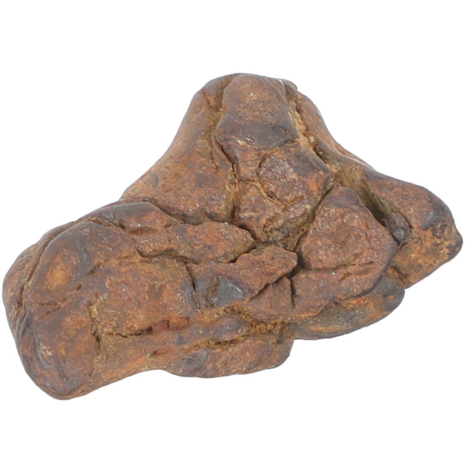 Meteorite Specimen for Decor Safe and Durable Use Ideal for Educational Purposes and Party Gifts