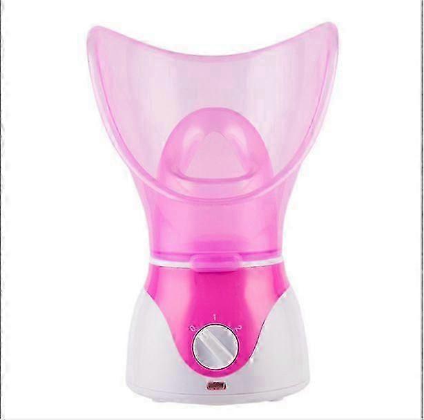 EU Plug Deep Cleanser Steam Facial Sauna
