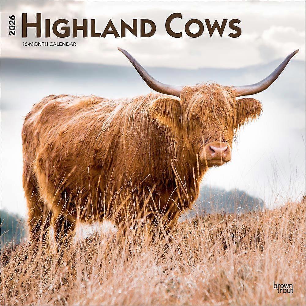 Browntrout Scottish Highlander Calendar 2026