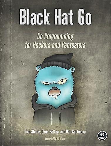 Black Hat Go: Gå programmering for hackere og pentestere