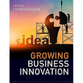Wachsende Business Innovation