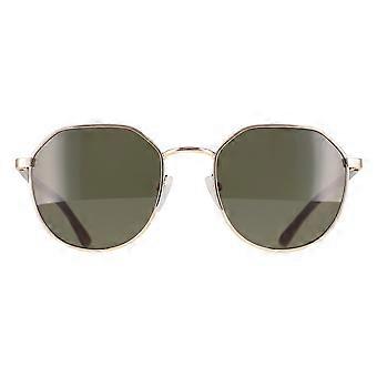 Calvin Klein Sunglasses CK22103S 717 Gold Solid Green