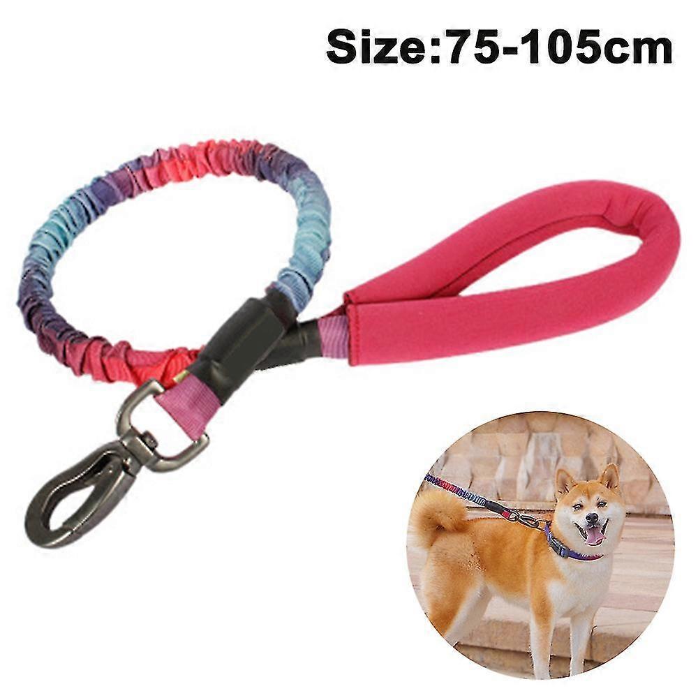 Dog Training Leash With Comfortable Handle & Reflective Training Leash