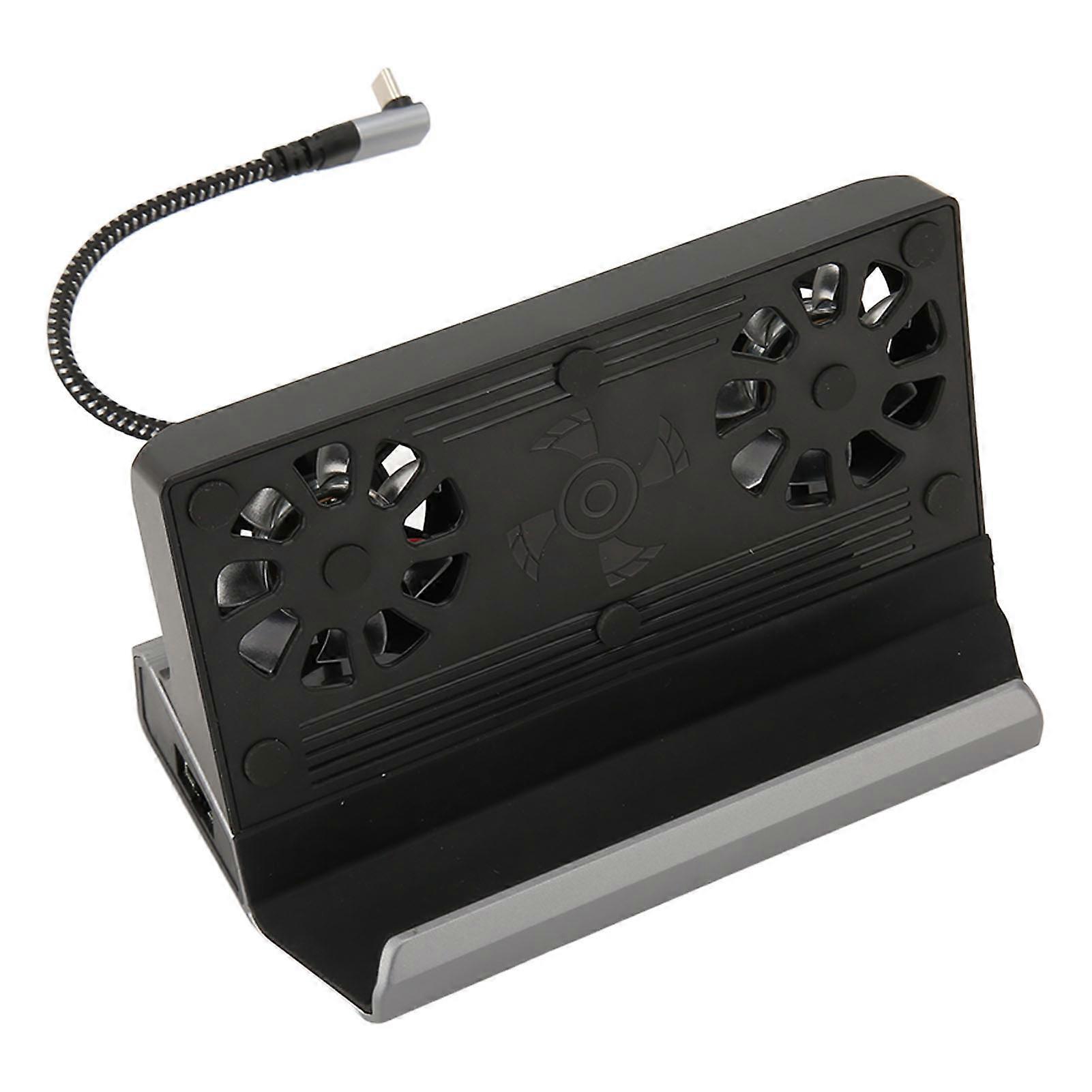 for Steam Deck Docking Station 10 in 1 for Rog Ally Dock with 5 USB 3.0 2.0 Dual Cooling Fan HD Multimedia Interface 4K At 60Hz 100W Charging 