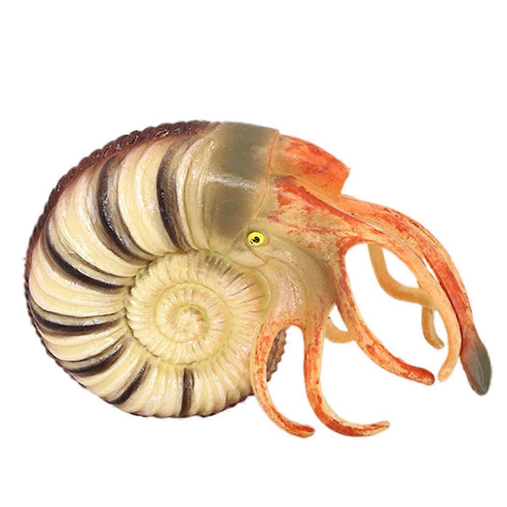 Sea Creature Toys Simulated Nautilus Animal Model Collection Display Home Decoration 1Set