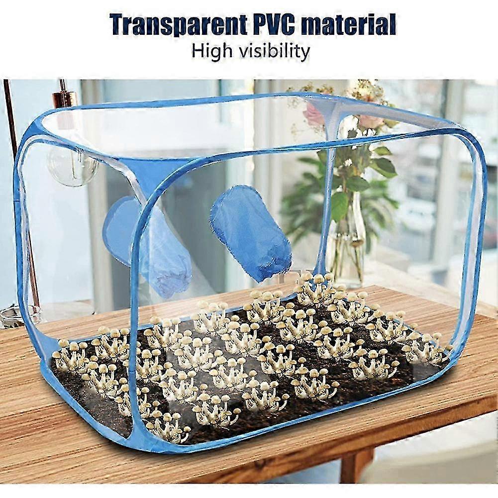 Mushroom Grow Tent Still Air Box