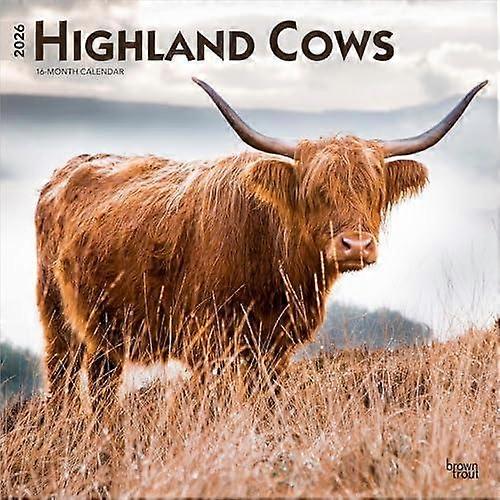 Highland Cows 2026 Square Flap Calendar by BrownTrout Calendar Book