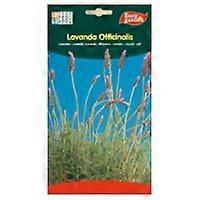 Lavender Seeds Officinalis 5 g